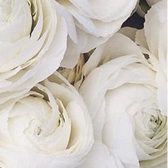 Lush Dresses & Skirts - ❕dress for reneeposhes